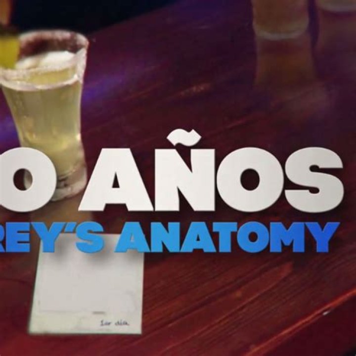 10 anos de Grey's Anatomy Relembre 10 mortes marcantes da s&eacute;rie 4