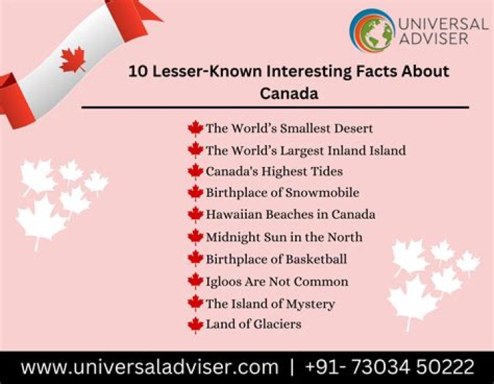 10 Interesting Facts About Leslie Picker You Do Not Wish to Miss Out