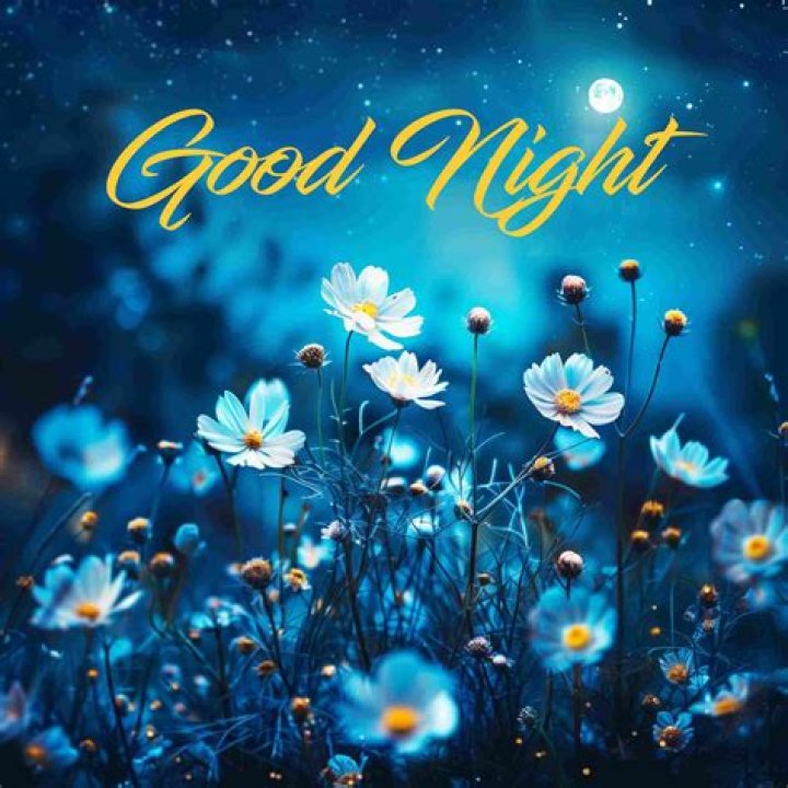 [100+] Beautiful Good Night Images, Photos & Pictures 2021 Funky Life