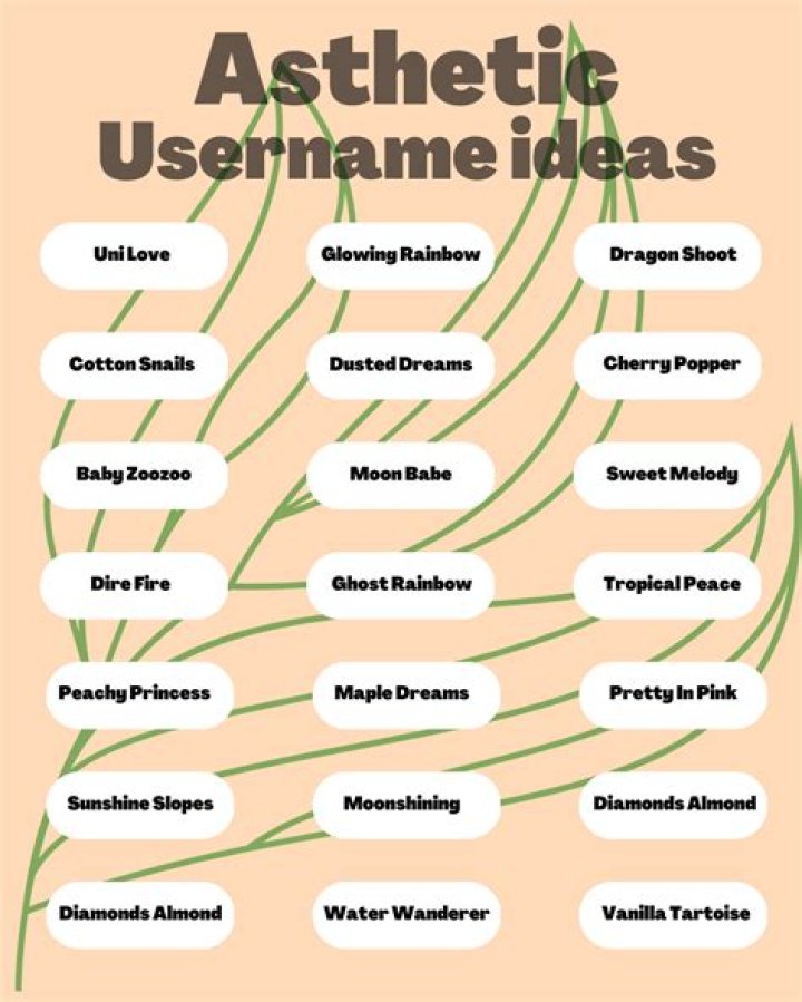 100+ Funny Short Usernames AestheticNames Aesthetic Names