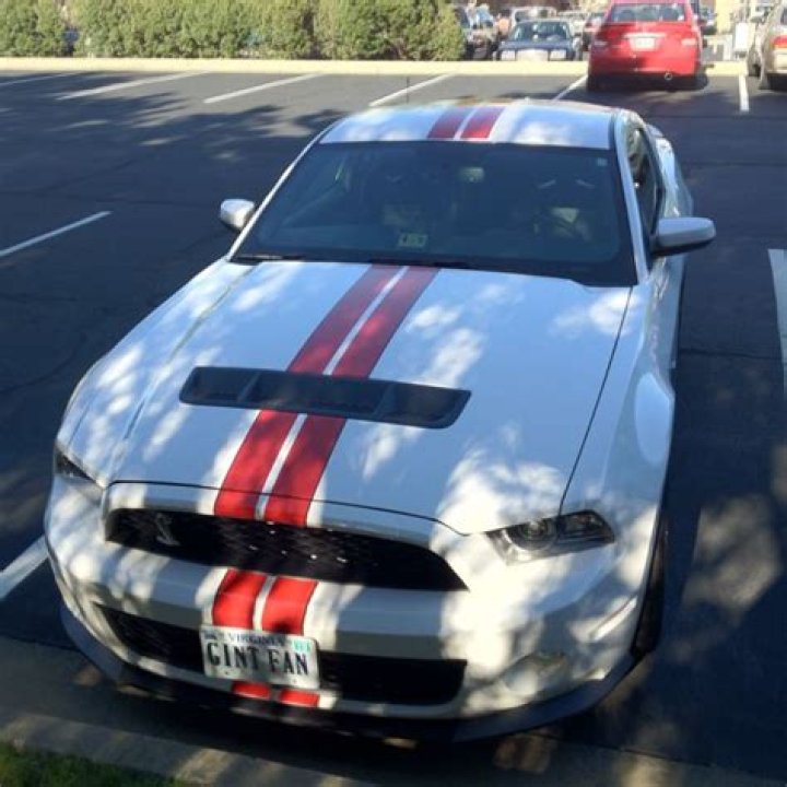 1000 Dollar Mustang