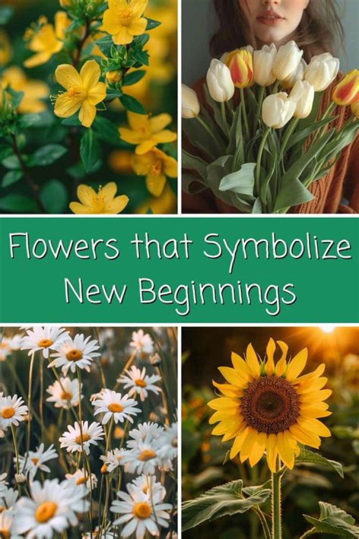 12 Flowers that Symbolize New Beginnings (List & Pictures)