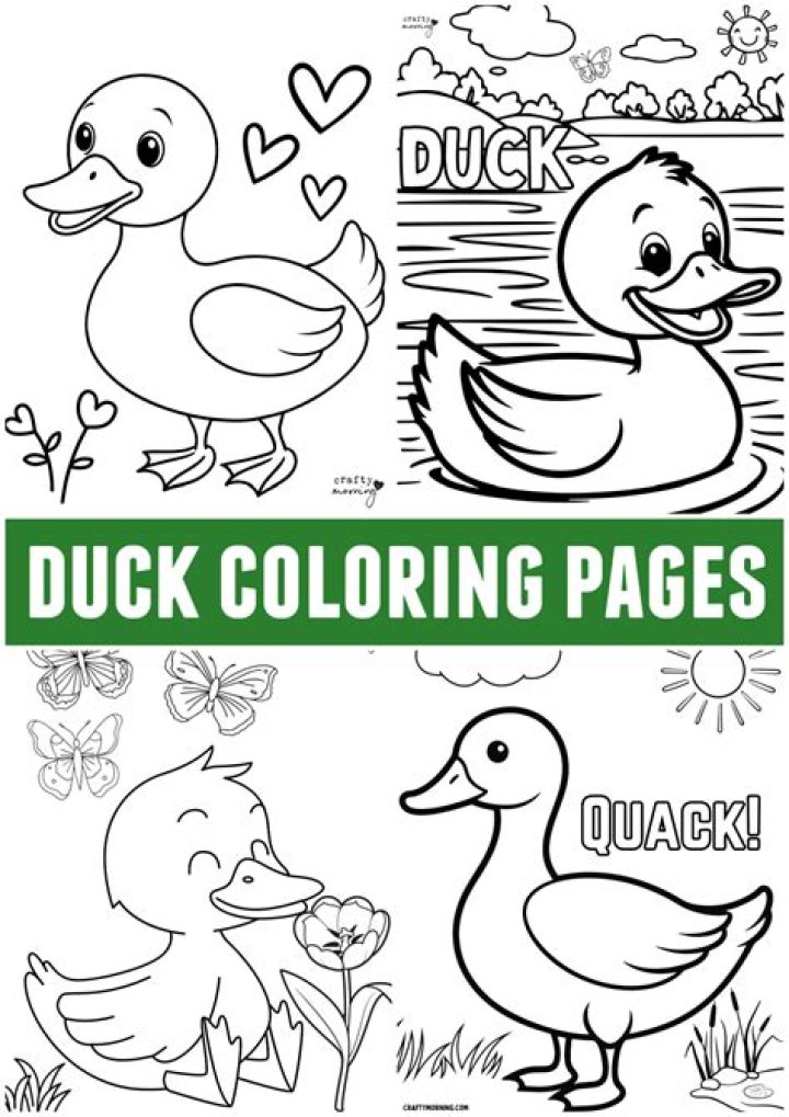 シグナス DUCK 様用 t0BDlm91344355295 します