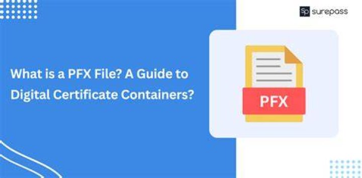 🥇 Download Certificate as PFX (PKCS12) file SSLPOINT