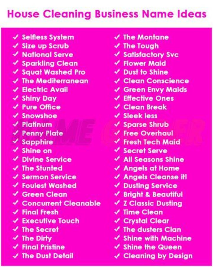 1300+ Clever Cleaning Business Name Ideas List Generator