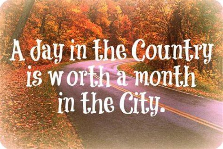 (156) FriendLife Country Country song quotes, Song quotes, Country