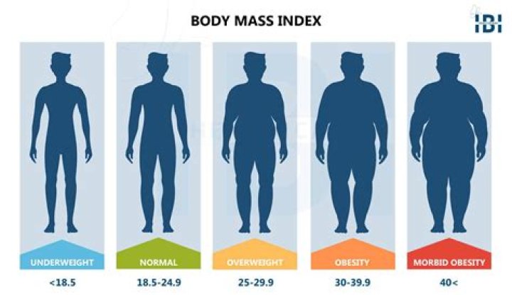 17 Bmi And Body Fat Measurement Celebrity Body Measurements Free