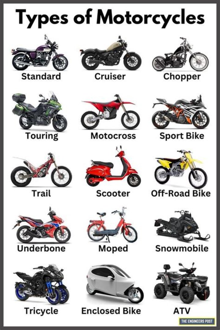 18 Different Types of Motorcycles Explained [Names & Pictures]