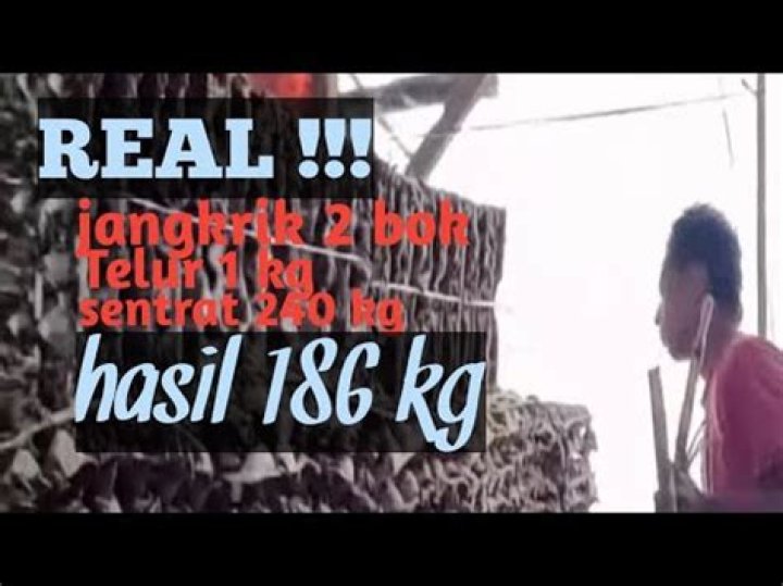 18,6kg YouTube
