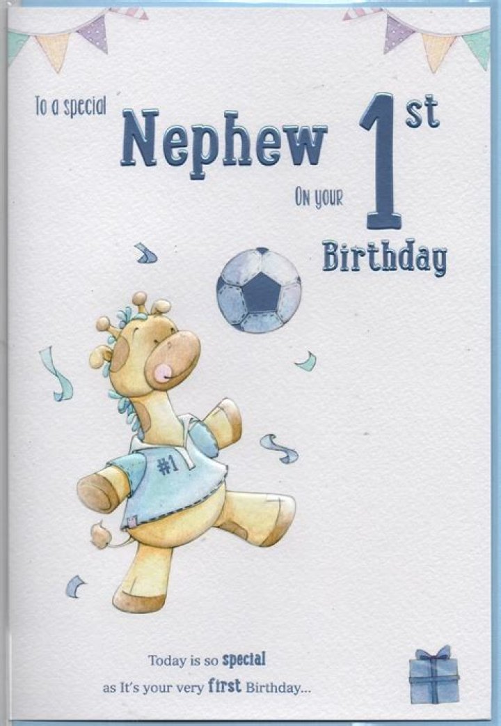 1st Birthday Nephew 1st Birthday Ideas