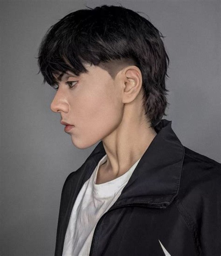 20 Classic Mullet Haircuts for Men to Look Fashionable Hairdo Hairstyle