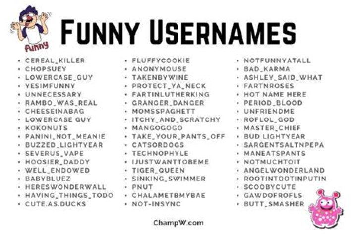 200+ Insanely Funny Usernames For Social Media Thought Catalog