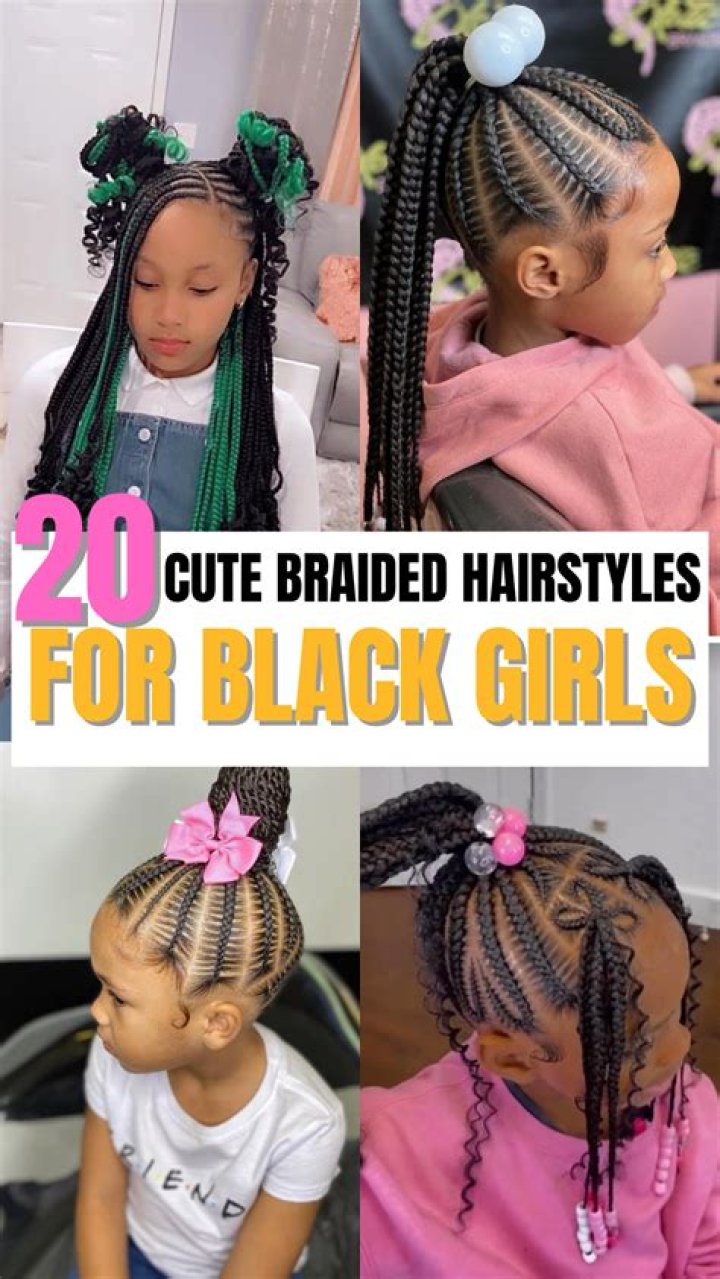 22+ Cute Black Braided Hairstyles Hairstyle Catalog