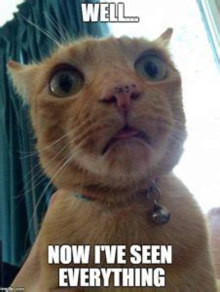 25 Surprised Face Memes That'll Totally Make Your Day