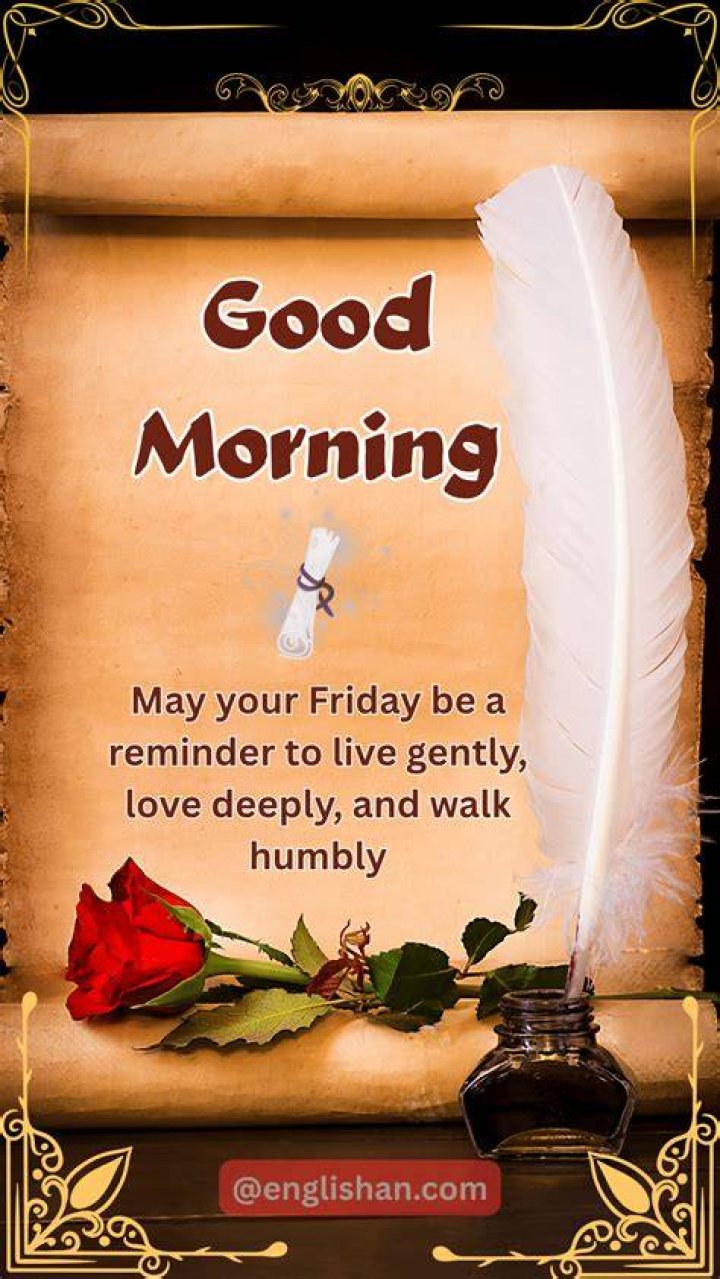 268 best images about Friday Funnies on Pinterest Tgif, On friday and