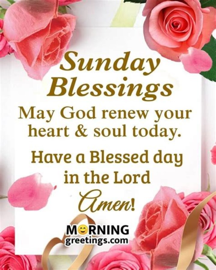 30 Super Sunday Morning Blessings Morning Greetings Morning Quotes