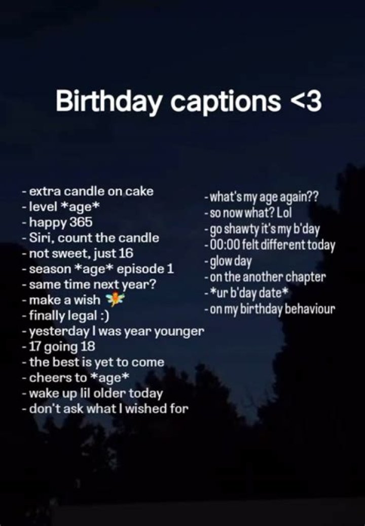 300+ Perfect Birthday Captions For Instagram Instagram Birthday