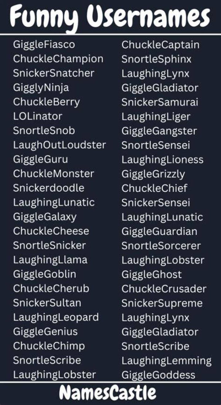 320+ Quirky Usernames