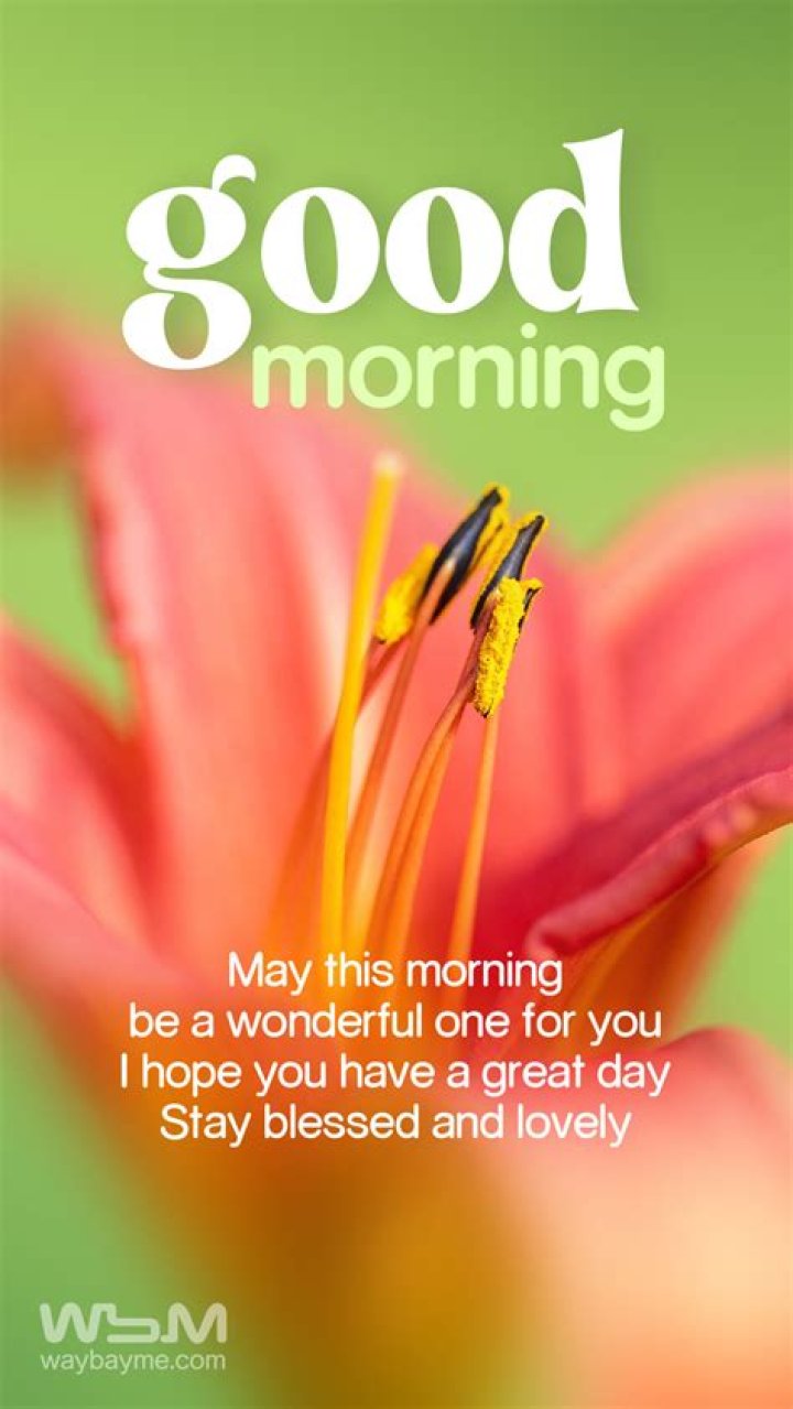 37 Best Good Morning Wishes To Handsome