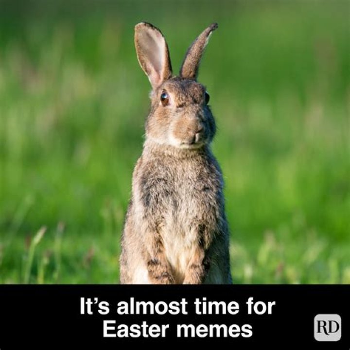 40 Funny Easter Memes That Are Really Excellent FamilyMinded