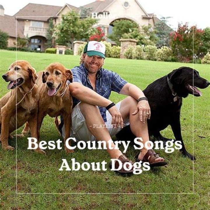 42 Country Songs About Dogs Spinditty