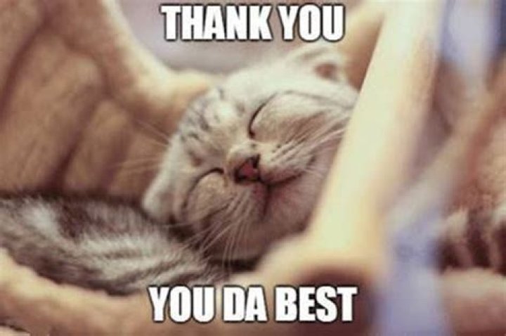 45 Best You Da Best Memes You&rsquo;re The Best Meme Luv68