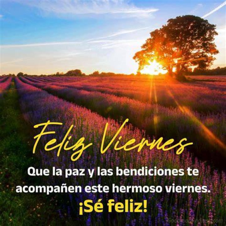 45 Buenos D&iacute;as Feliz Viernes im&aacute;genes