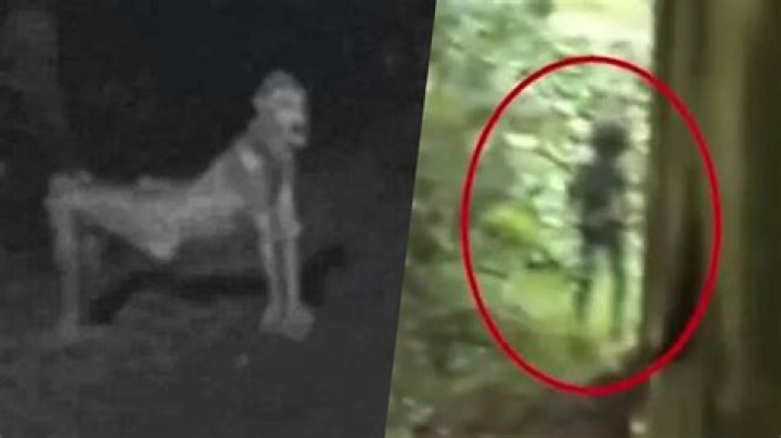 5 Scariest Creatures Caught On Camera words best entertainments site