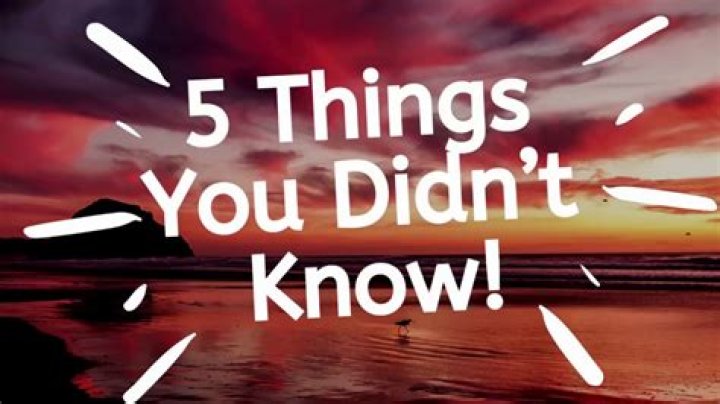 5 Things You Didn't Know About Marshmello YouTube
