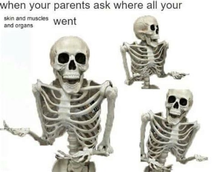 50+ Hilarious Skeleton Memes To Get You Into The Spooktober Spirit