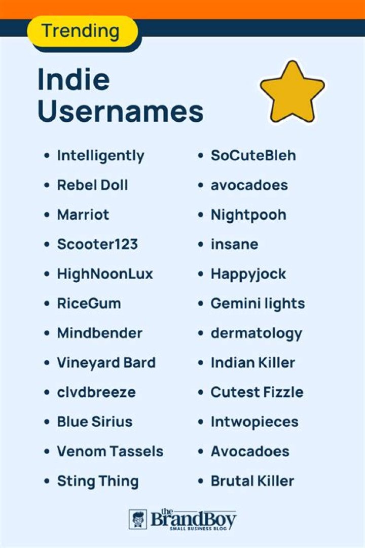 600+ Cool Indie Usernames Ideas With Generator BrandBoy