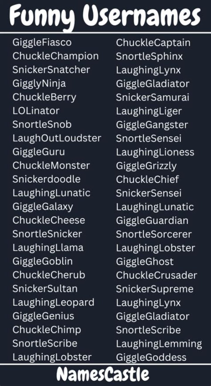 650+ Cool Quirky Usernames ideas With Generator BrandBoy
