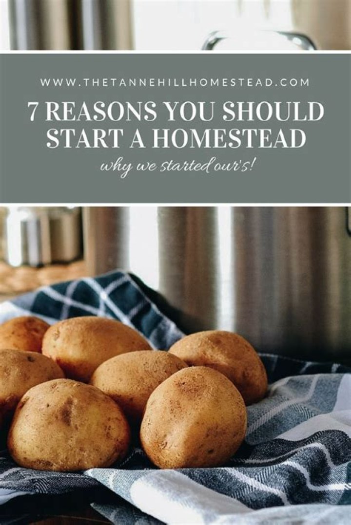 7 Reasons You Should Start Eating Bone Broth / Bright Side