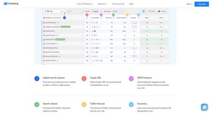 8 Best Keyword Rank Tracking Software in 2023 (Free & Paid)