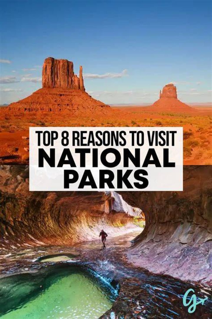 8 Reasons to Visit Great Wolf Lodge in LaGrange, atlantaparent