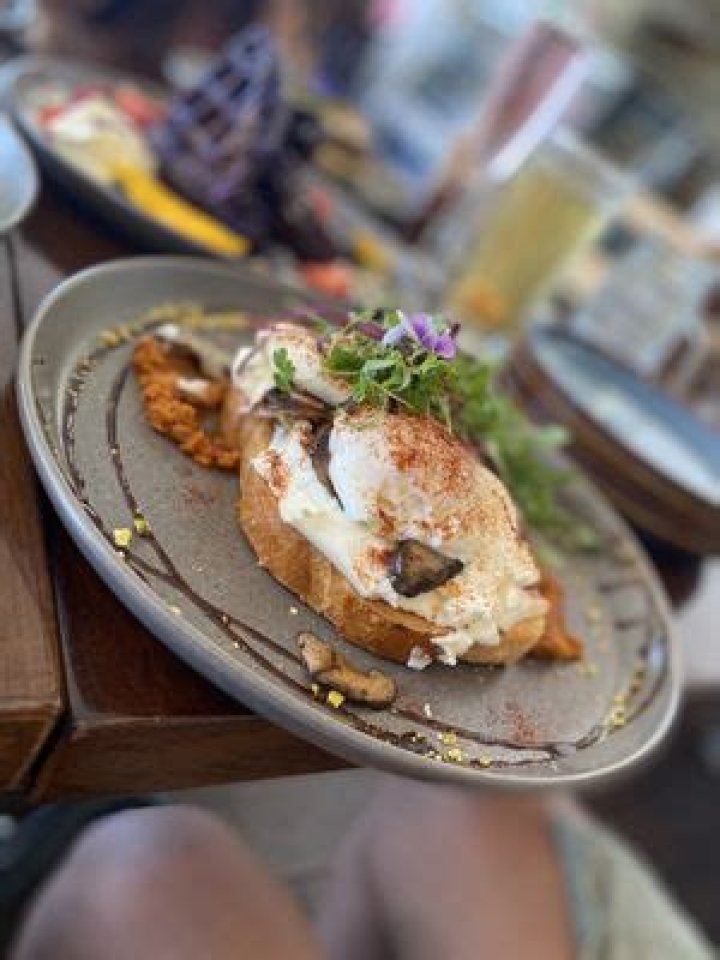 8TH HAUS CAFE 994 Photos & 404 Reviews 656 S Brookhurst St, Anaheim