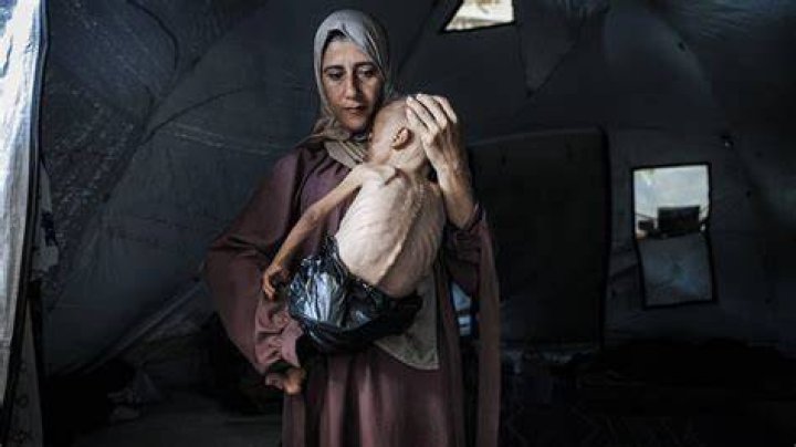 A Child of Gaza Dies. A Symbol Is Born. The Arguing Begins. The New