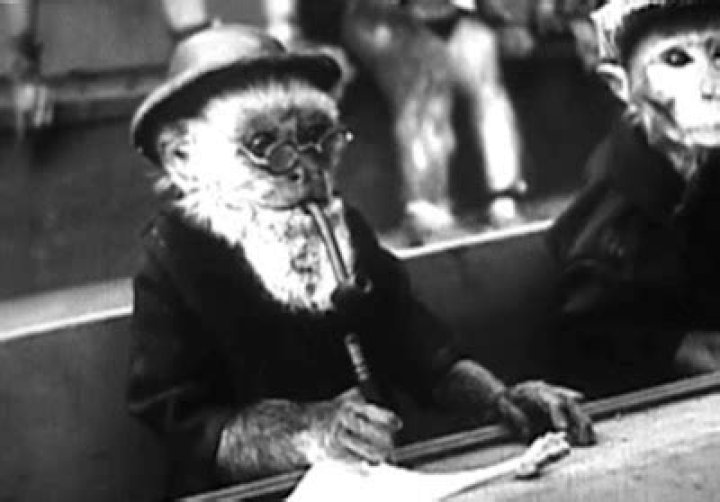 A Mythical Monkey writes about the movies Sneak Preview 2013 Favorite