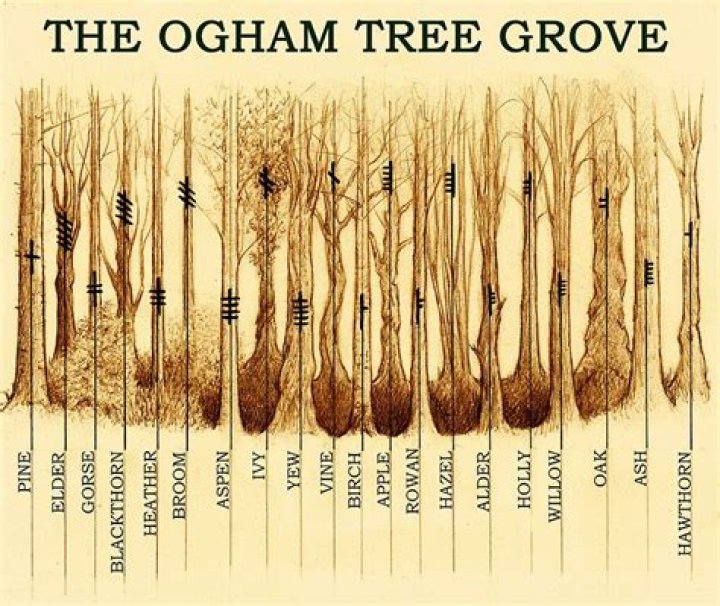 A short introduction to celtic druid ogham or ogma alphabet and how to