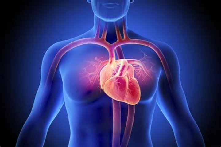 A Woman&rsquo;s Heart.