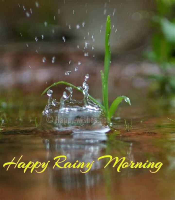 Abhay Kakade Good morning rainy day, Rainy good morning, Rainy