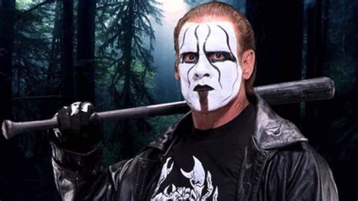 About Steve Borden (aka Sting on WWE) Age, Net Worth, Wife Chia Sẻ