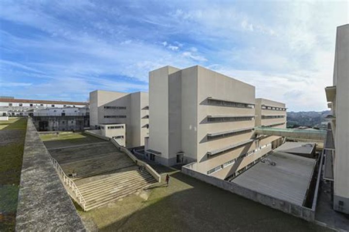 &Acirc;ngela Alves ICBAS