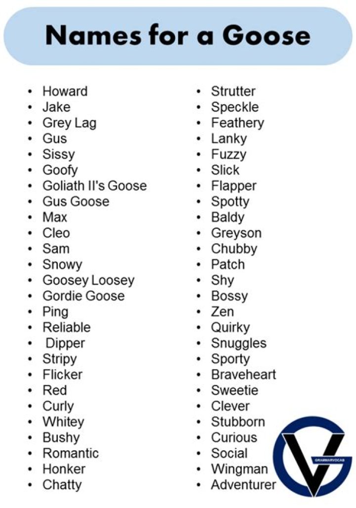 Adorable Names for a Goose Name Ideas for Your Pet GrammarVocab