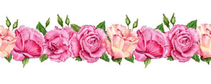 Adrienne Landau Rose Border with "Collection of Tulips" Silk Scarf For