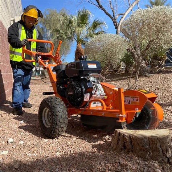 AGT INDUSTRIAL AGTSGR1500 Stump Grinder Owner's Manual