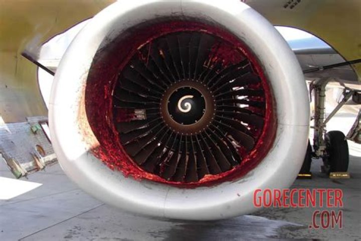 Aircraft mechanic sucked into jet engine &bull; GoreCenter