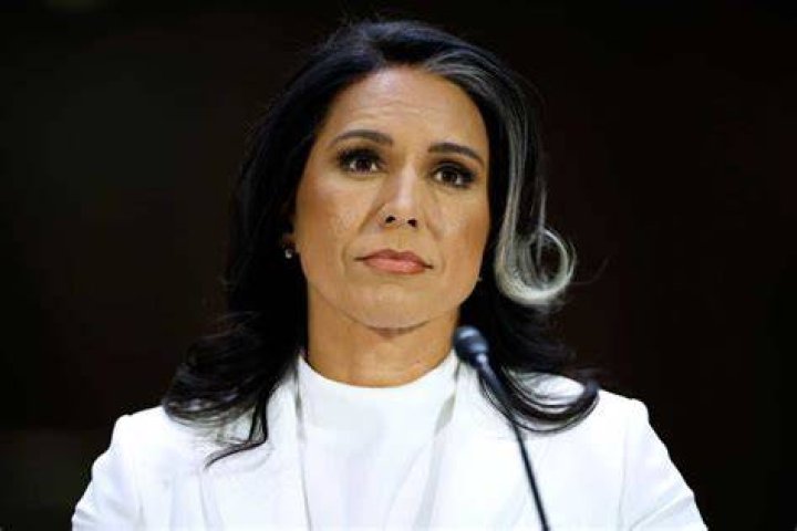 All about Eduardo Tamayo, Tulsi Gabbard's Hawaiian exhusband Tuko.co.ke
