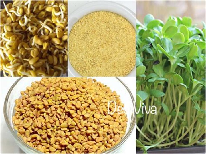 All About Fenugreek (Methi) with Benefits to Bhavna's Kitchen