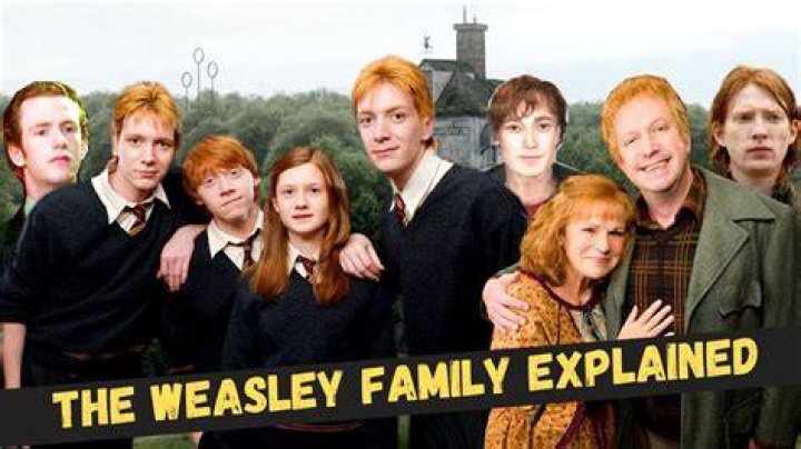All of the Weasley family Harry potter puns, Harry potter anime